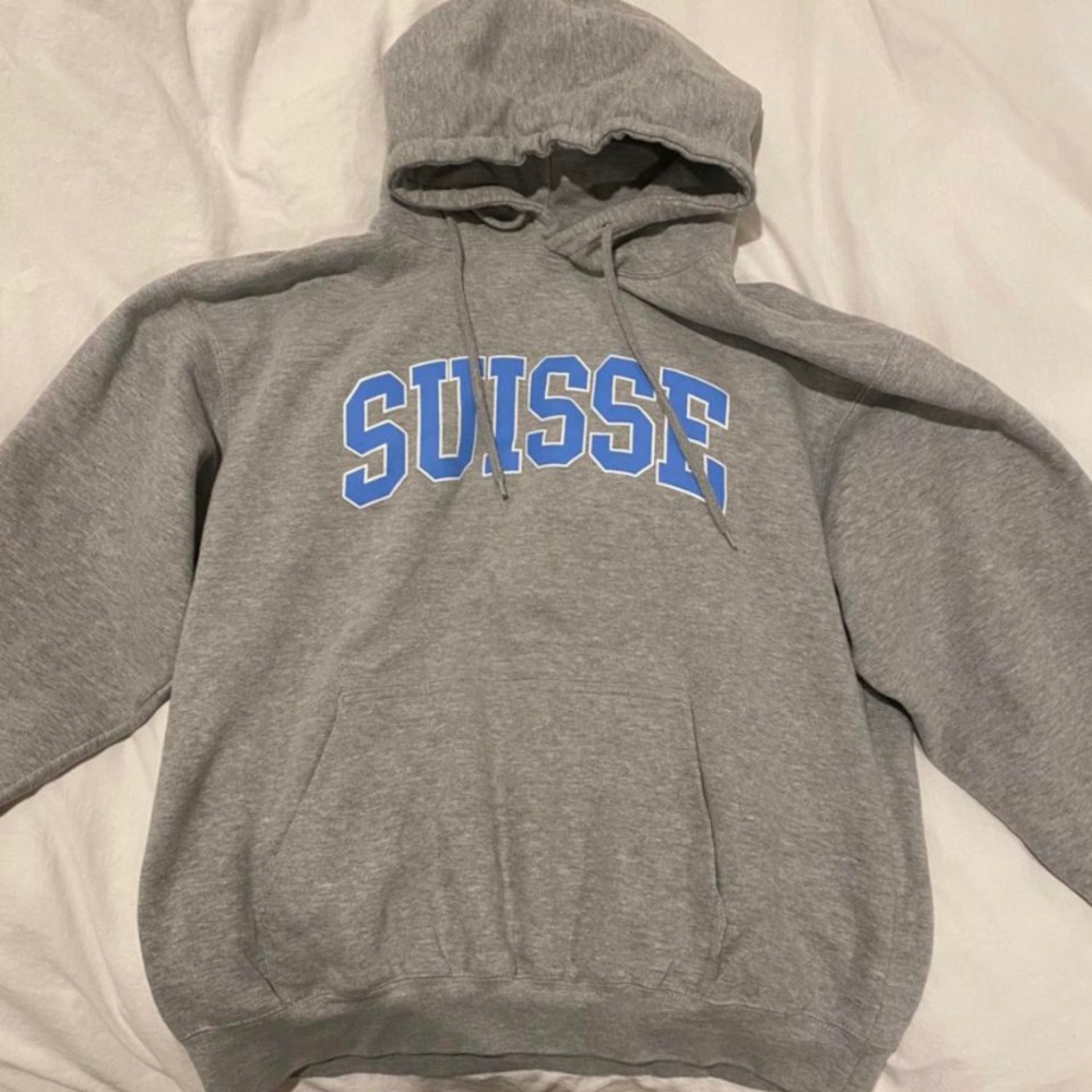 brandy melville christy suisse hoodie